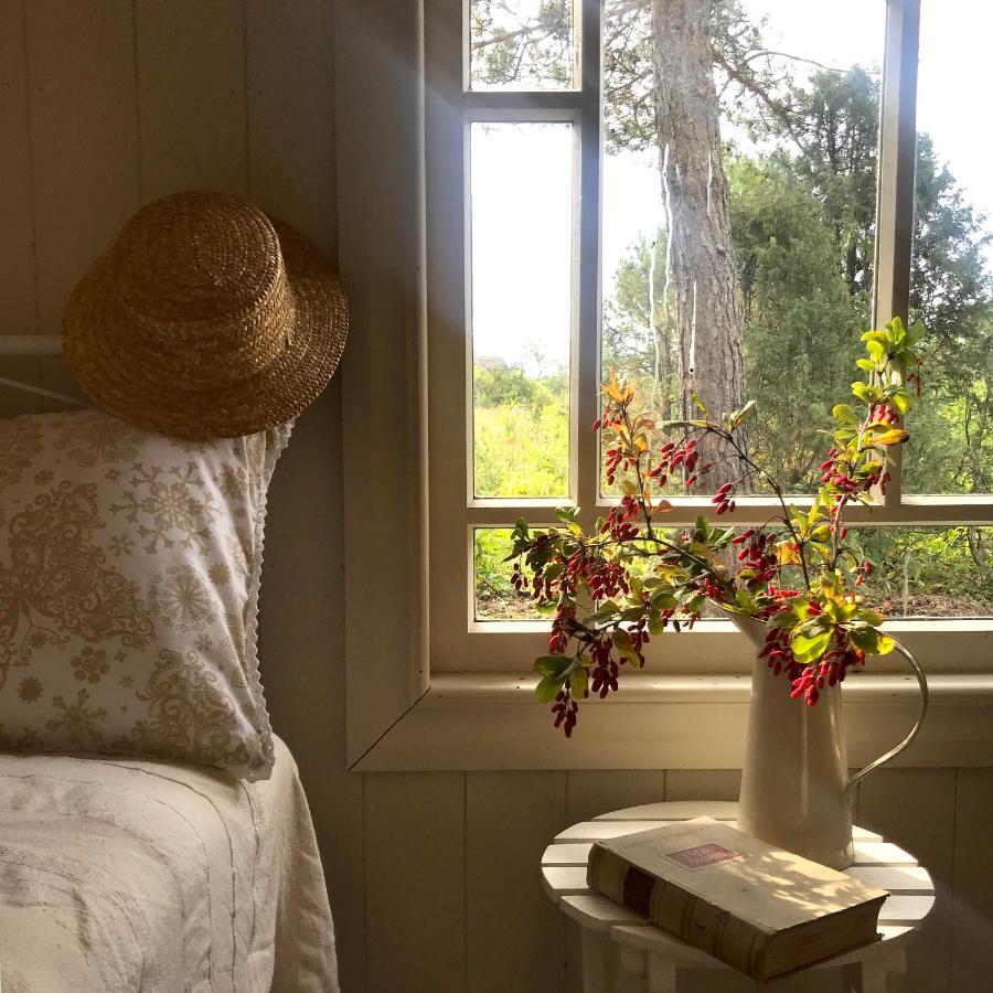 Paehkli Seaside Cottage With Cozy Outdoor Patio Koiguste ภายนอก รูปภาพ