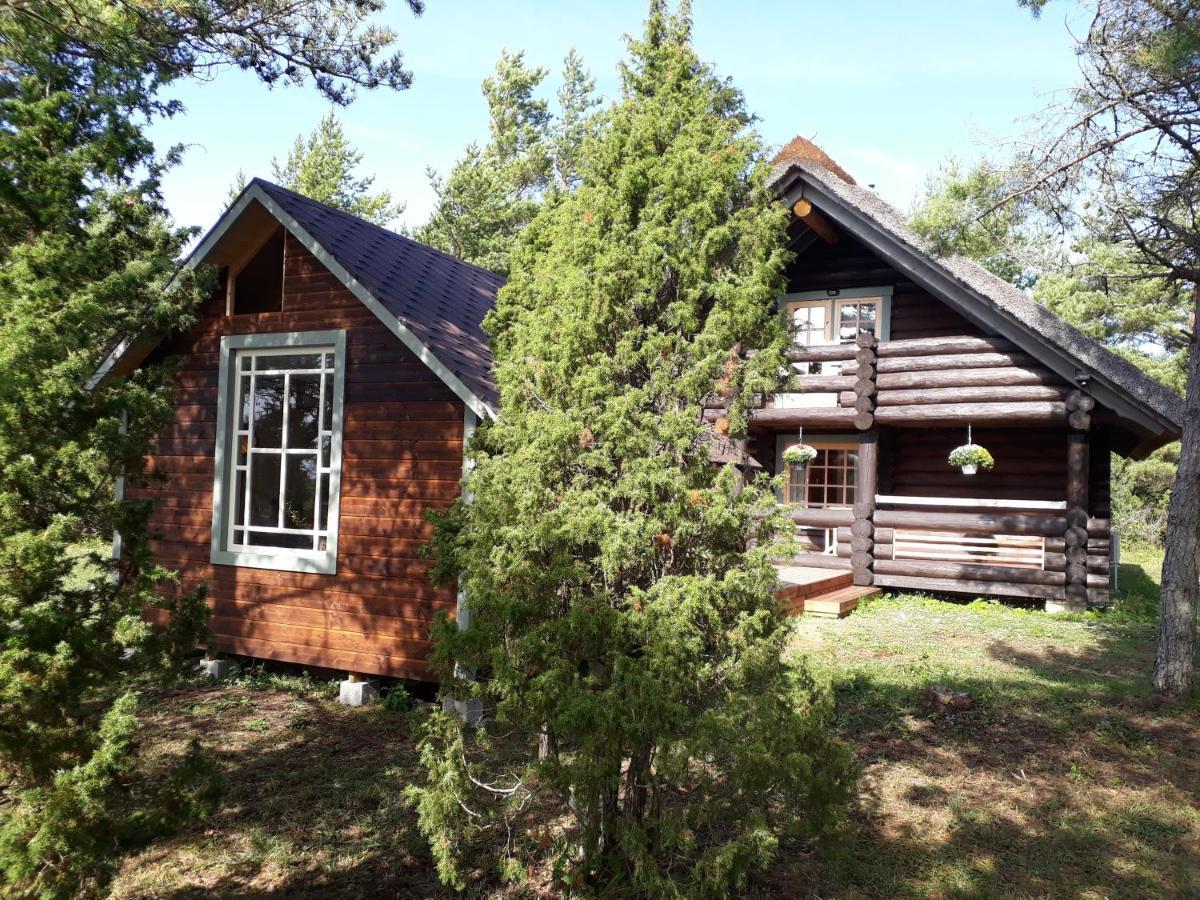 Paehkli Seaside Cottage With Cozy Outdoor Patio Koiguste ภายนอก รูปภาพ