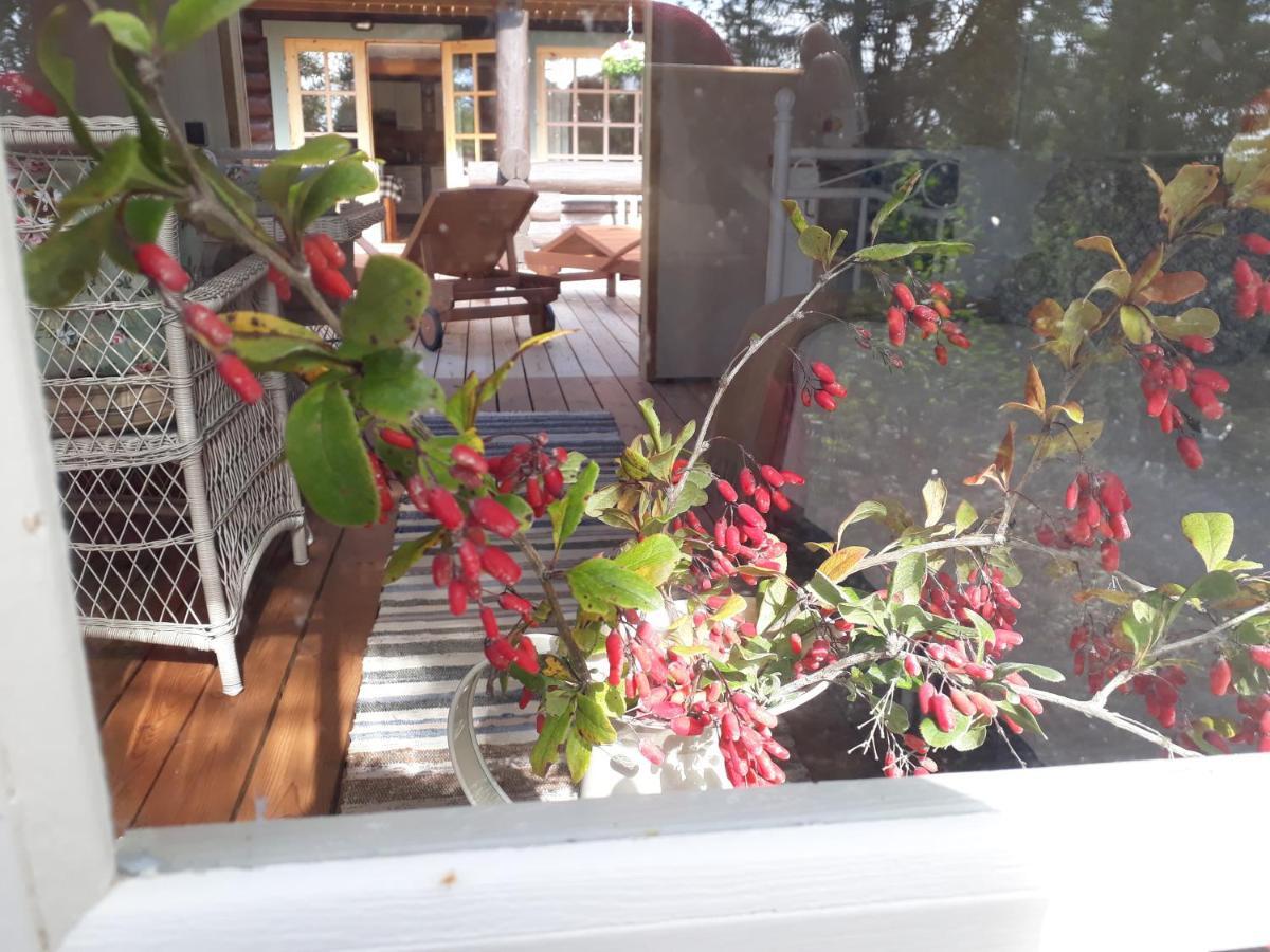 Paehkli Seaside Cottage With Cozy Outdoor Patio Koiguste ภายนอก รูปภาพ
